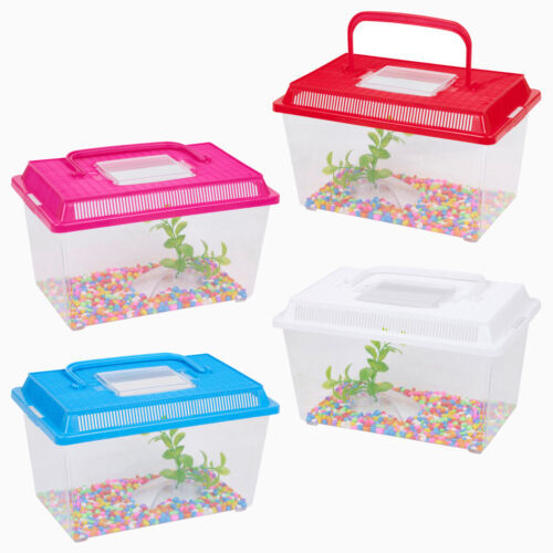 Plastic aquarium fish tank - fish,