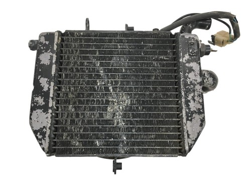 Lower water radiator - lower, vfr