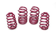 Vogtland lowering springs for - vogtland,