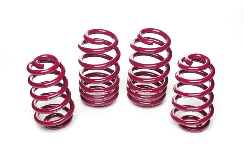 Vogtland lowering springs for - vogtland,