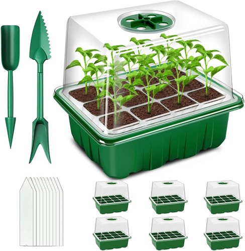 6pcs holes seed - 12,