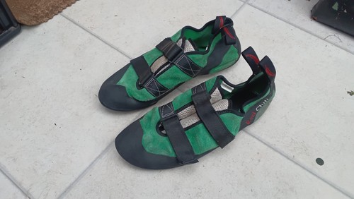 Red chilli climbing - climbing, size