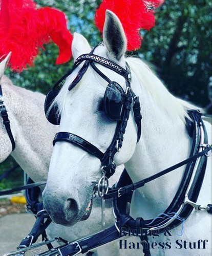 Ideal equestrian harness - ideal,