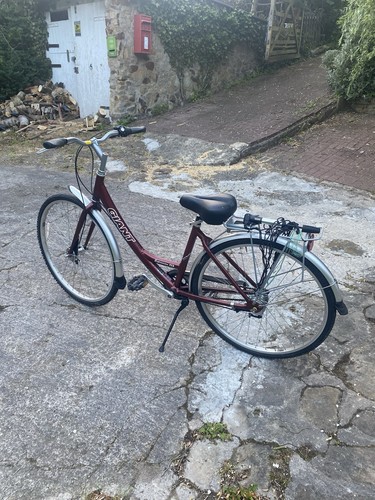 Ladies unisex bike - ladies, giant