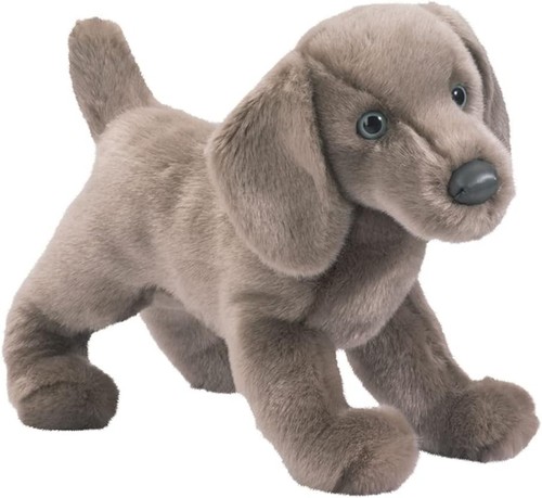 Douglas cassie weimaraner - douglas,