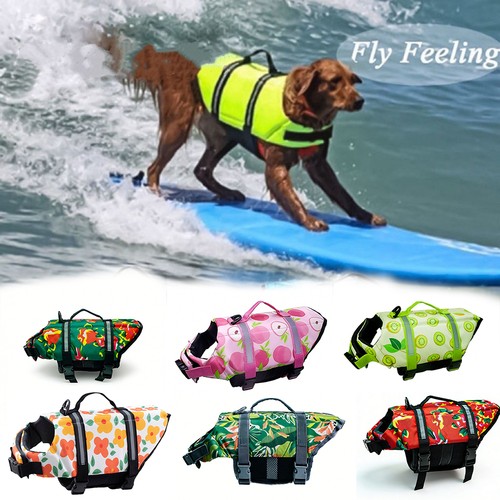 Dog life jacket - dog, pet