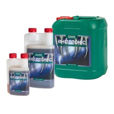 Canna Rhizotonic Root