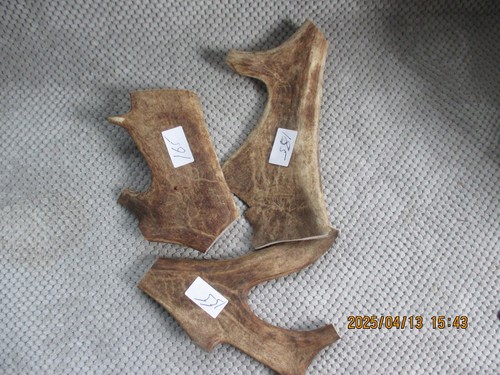 Fallow deer antler dog - fallow, chews