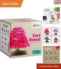 Bonsai Starter Kit -