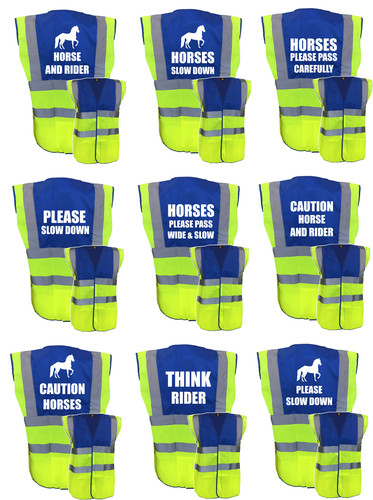 Horse riding vis - horse,