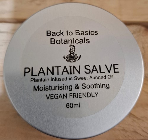 Plaintain salve herbal - plaintain, /herbal