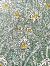 Remnant QUEEN HERA B  peacock