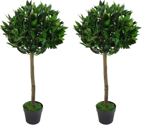 Leaf design pair - design, uk