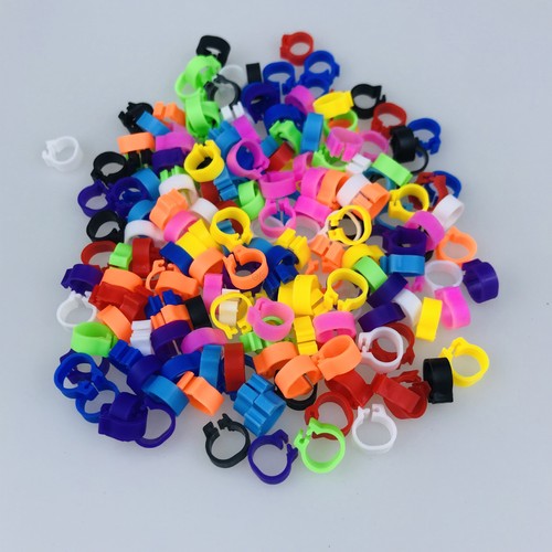 100pcs plastic racing - 100pcs, pigeon