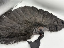 FABULOUS BURLESQUE OSTRICH