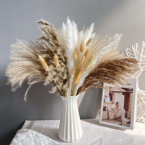 15x natural dried - natural,