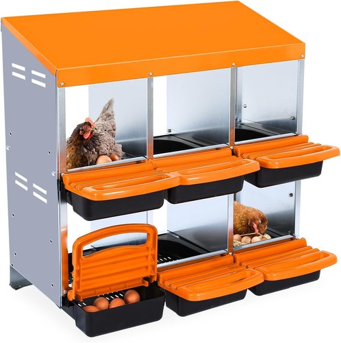Compartment chicken laying - 6,