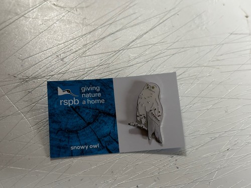 Rspb snowy owl - rspb,