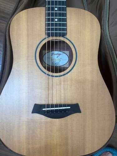 Taylor baby - taylor, bt1