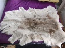 Reindeer Hide Skin / Rug 130cm x 100cm