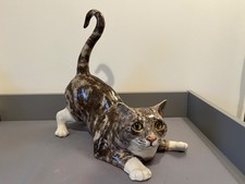 Stunning Winstanley Tabby Cat
