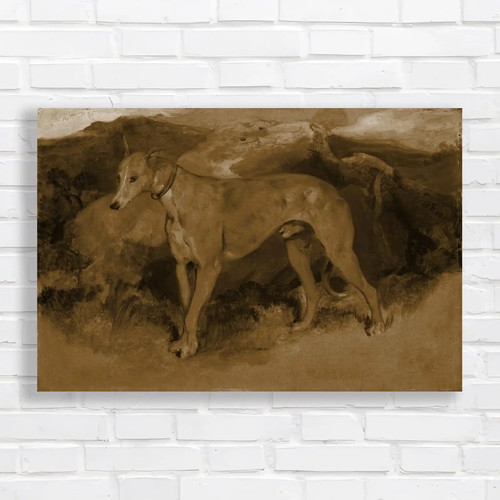 Majestic mountain greyhound - mountain,