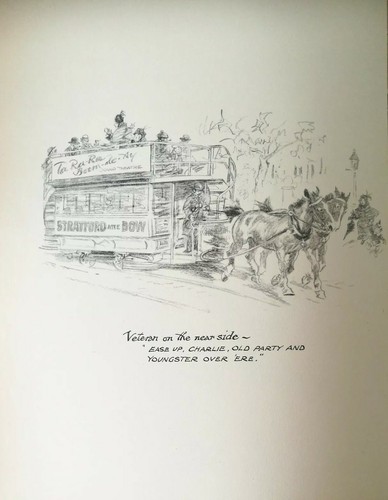 Horse bus tram - horse, original