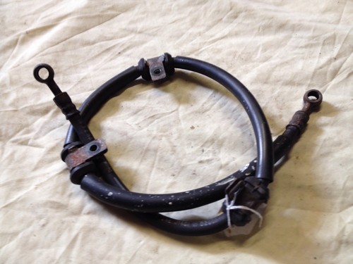 Honda ntv650 rear brake - brake, pipe