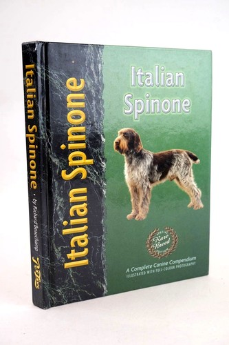 Italian spinone beauchamp - italian,