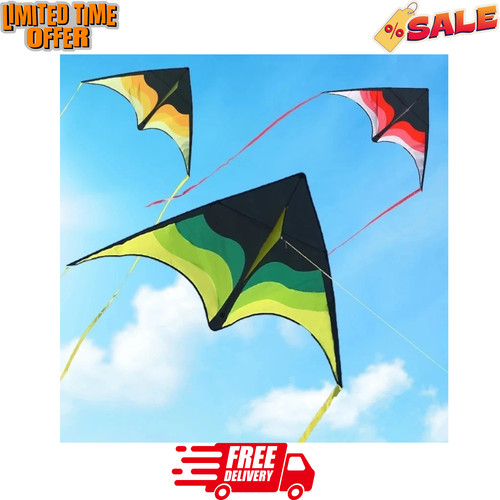 Yongjian large delta kite - large, for