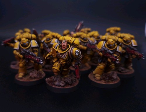 Imperial fists intercessor - imperial,