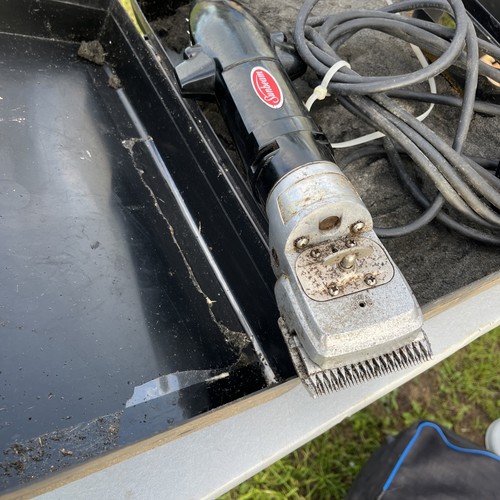 Horse clippers sunbeam - horse,