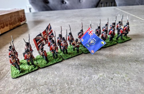 28mm napoleonic british - napoleonic,