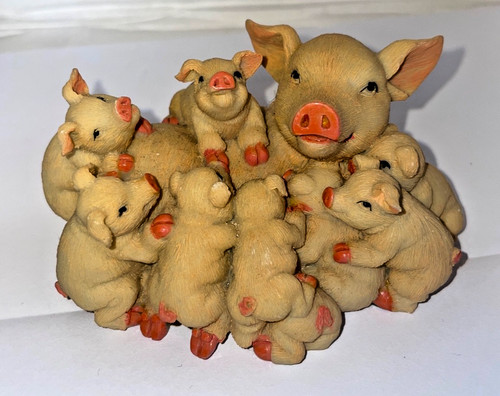 The leonardo collection pig - collection,