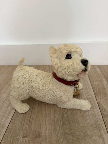 Large west highland terrier - west,