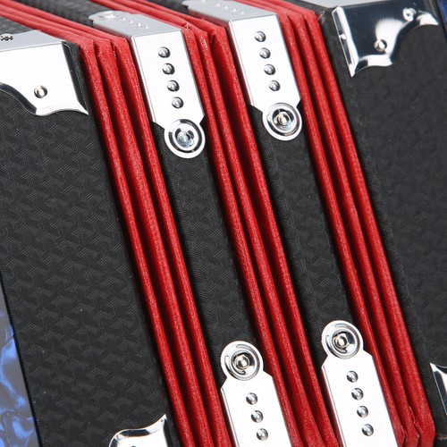 Professional concertina - c-professional,