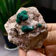 102G Natural green dioptase emerandine+azuritegemstone cluster mineral specimen