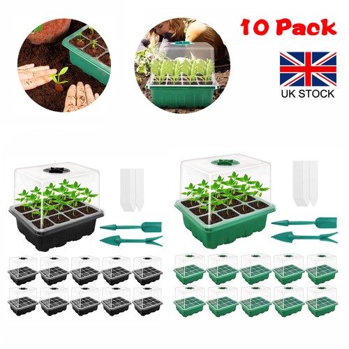 Pack mini propagator - mini, seed