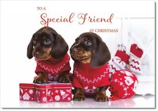 Doodlecards Special Friend