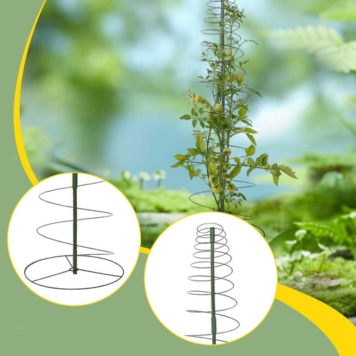 Trellis for climbing plants - trellis,