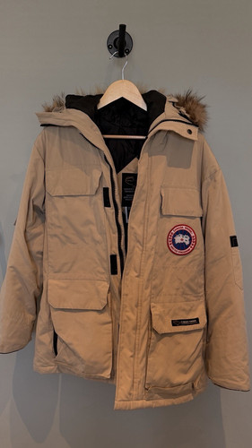 Canada goose arctic program - arctic,