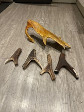 Walking Stick Parts x 5 ANTLER