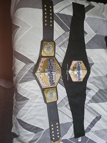 Wwe replica title belt - title,