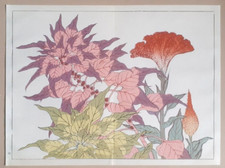 SAKAI HOITSU COCKSCOMB RED