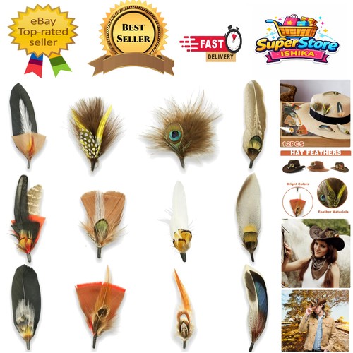 Diy craft feathers - craft,