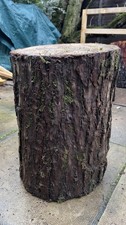 Tree Stump / seats / Stools / Home Garden Furniture ￼