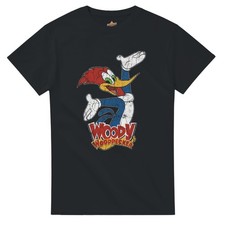 Woody Woodpecker Cartoon