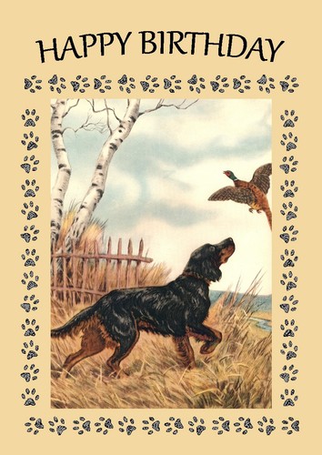 Gordon setter dog birthday - gordon,