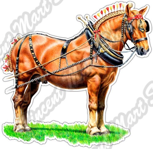 Suffolk punch horse - punch,