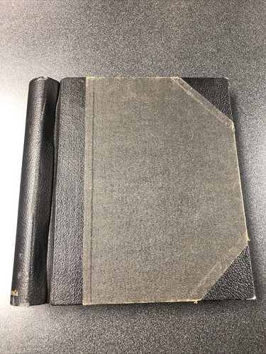 Hodge pudge mint used - &,